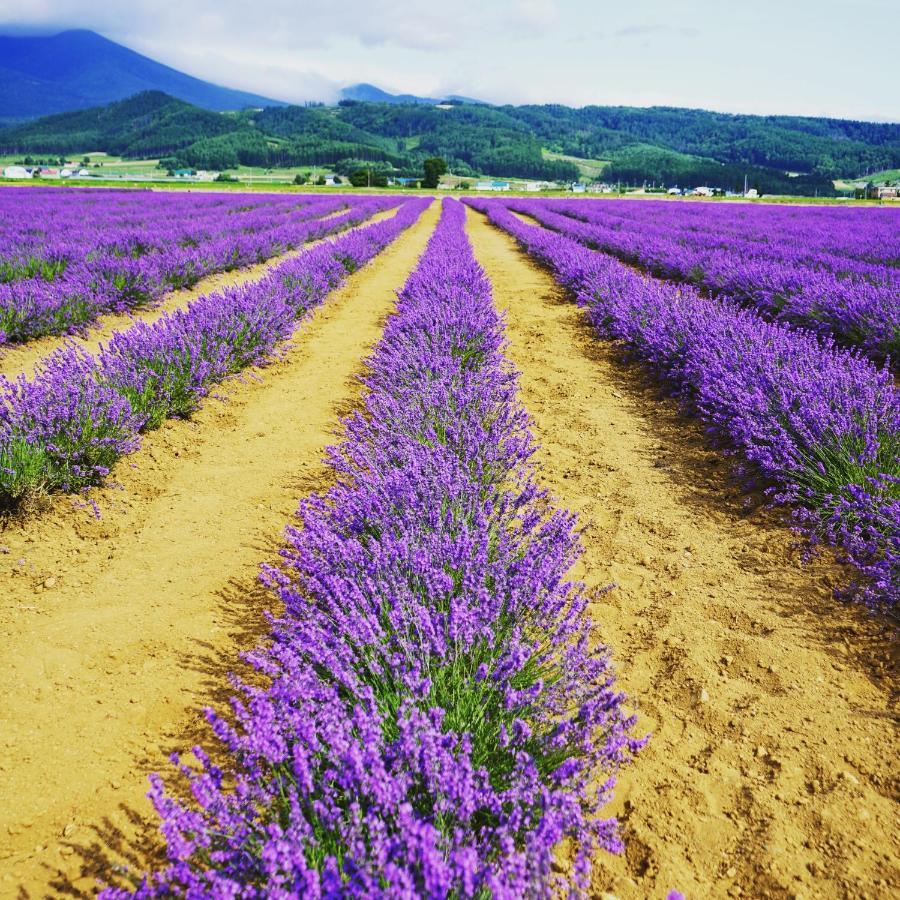 Furano Natulux Hotel Buitenkant foto