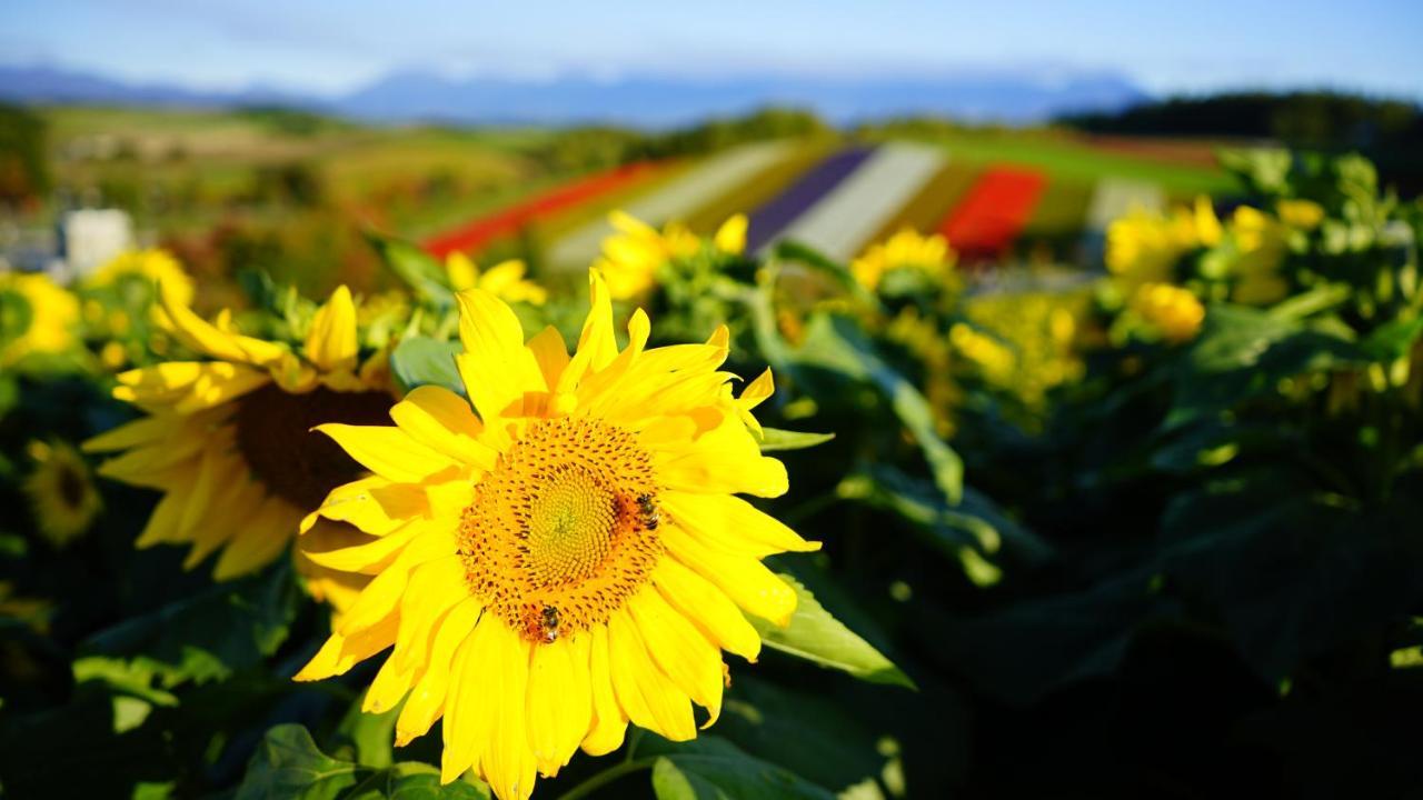Furano Natulux Hotel Buitenkant foto